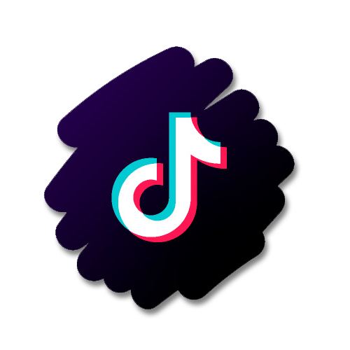 TikTok CDP