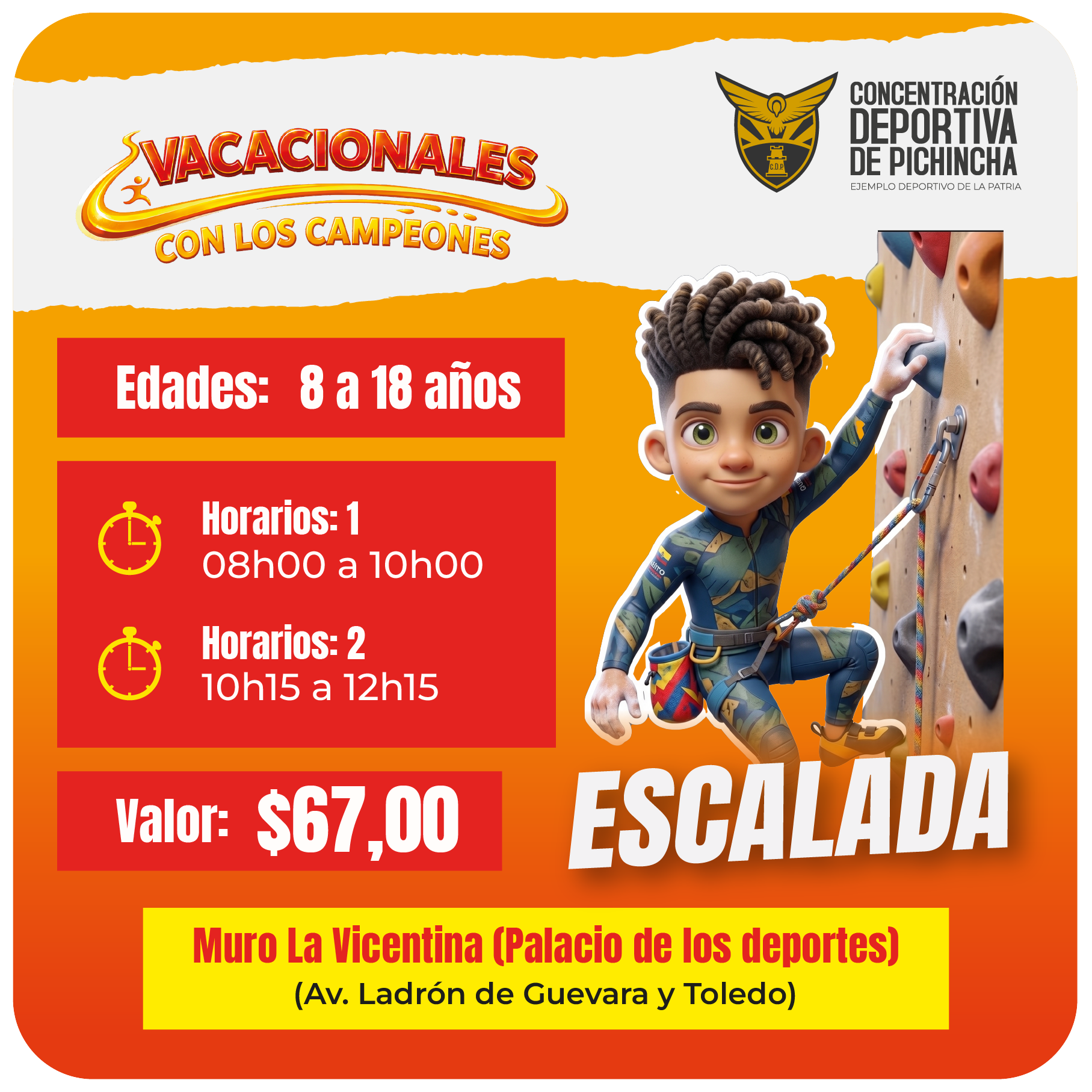 Curso Vacacional