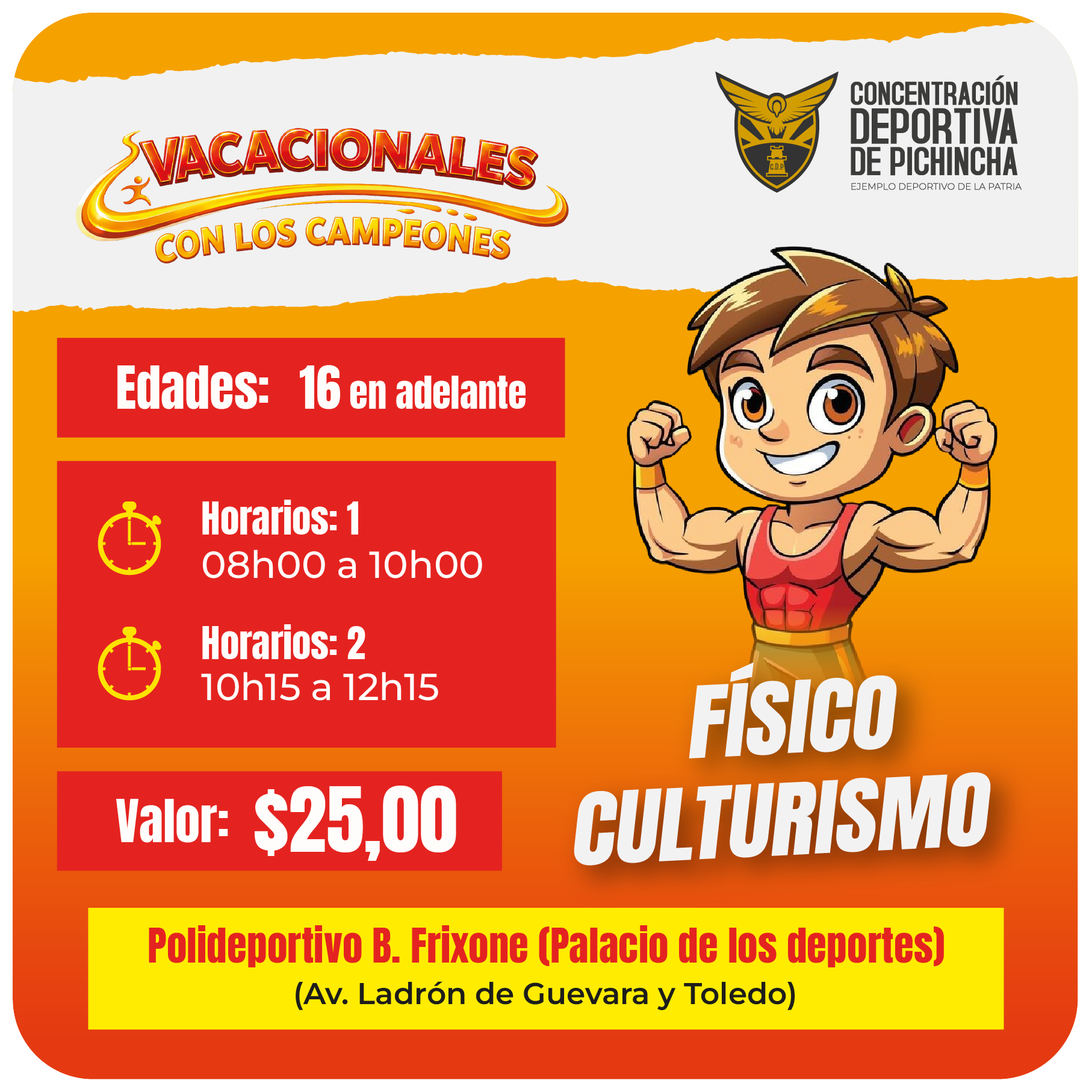 Curso Vacacional